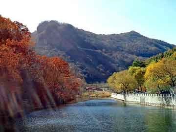 新澳天天开奖资料大全旅游团，深圳到兰州物流公司